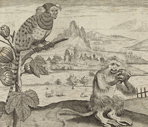 Strange animals in a landscape. Antique Dutch engraving. 