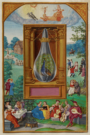 The Alchemical Peacock, Splendor Solis. Fine art print
