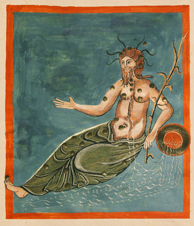 The Constellation Eridanus. Astrological painting
