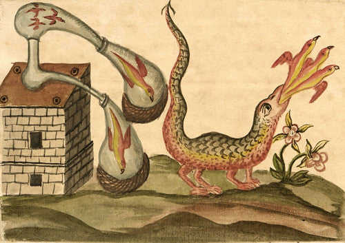 Alchemy dragon from the Clavis Artis