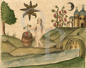 Alchemy Illustration from the Clavis Artis