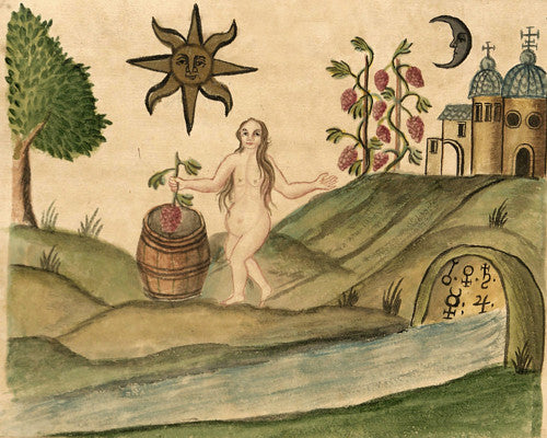 Alchemy Illustration from the Clavis Artis