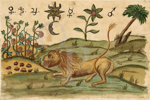 Alchemy lion from the Clavis Artis by Zoroaster