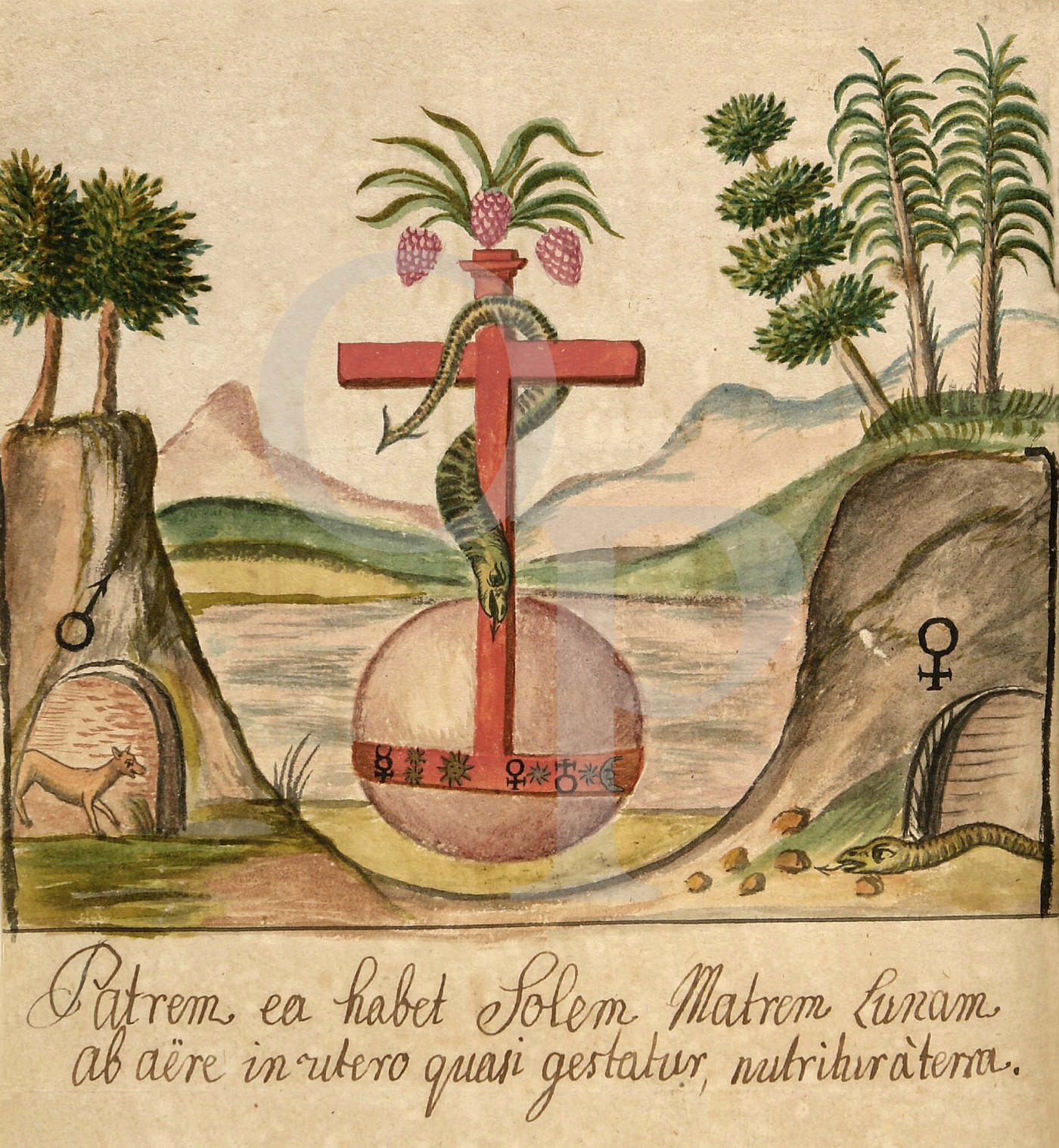 Alchemy Illustration from the Clavis Artis - Opium of the Poets