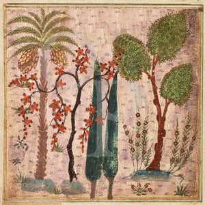 Painting of exotic trees from a Persian manuscript