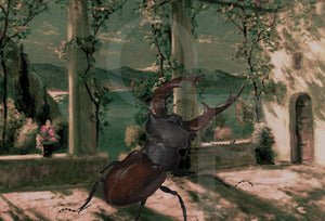 Jardin du Mystère original collage. Exotic night terrace with beetle