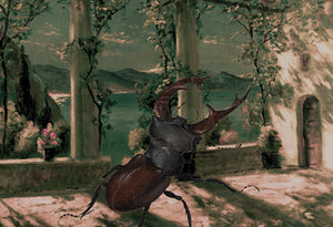 Jardin du Mystère original collage. Fantasy beetle garden