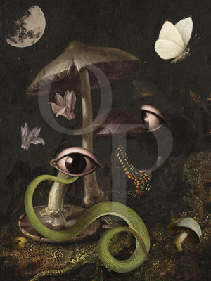 Nocturno. Original surreal collage with snakes, eyes and mushrooms