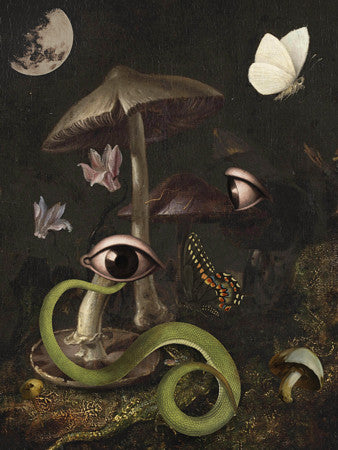 Nocturno. Original surreal collage with snakes, eyes and mushrooms