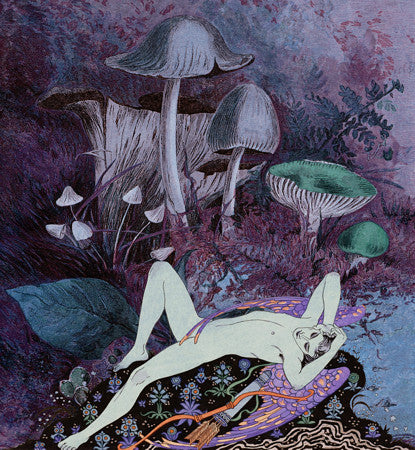 Forest Dreamer collage art print