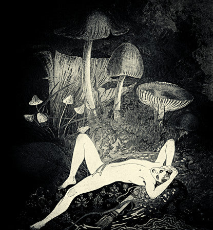 Forest Dreamer. Male nude laying on forest floor under mushrooms at night. Original Collage
