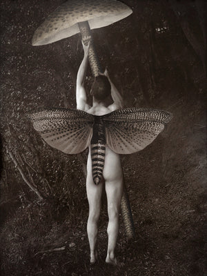 Night Light. Moth man with mushroom. Original collage