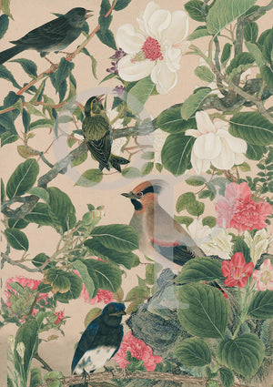 Birdsong. Birds in flower garden collage.
