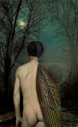 Insomnia. Male nude with wing under night sky collage