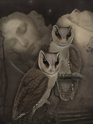 Keepers of the Dreams. Owls and dreaming woman