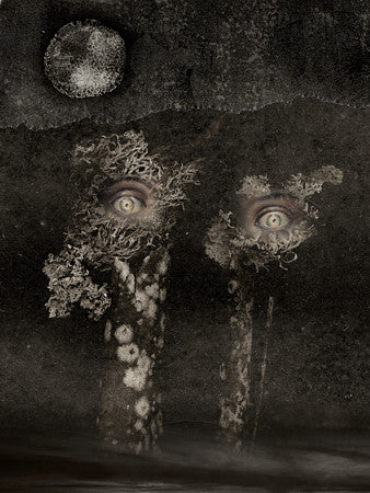 Night Vision. Deep Fix to Ganymede. Original collage. Surreal eyes in moonlit landscape