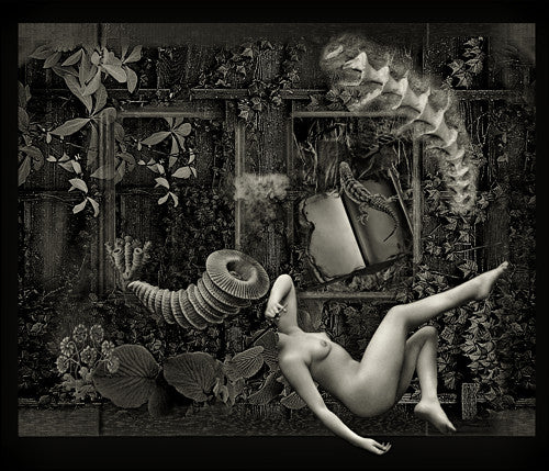 Where Our Dream Follows Her. Original surreal collage