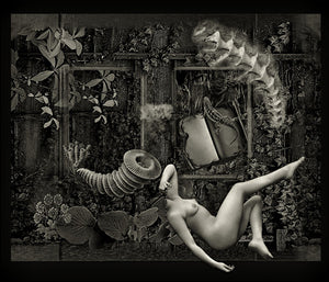 Where Our Dream Follows Her. Original surreal collage