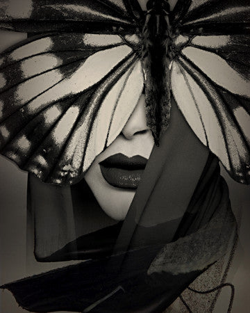 Metamorphosis. Original collage art print