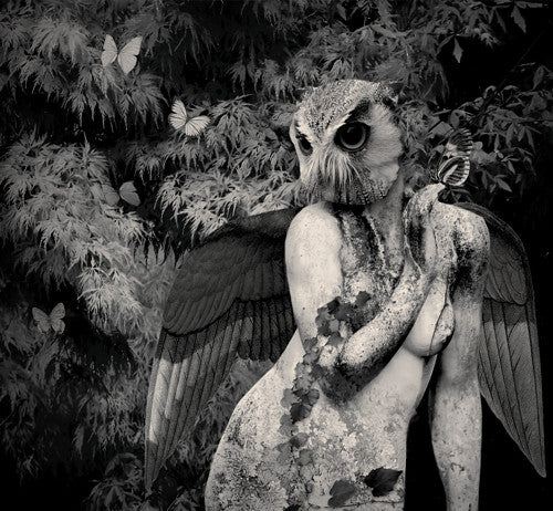 Garden of the Night. Original collage art print