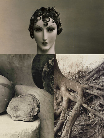 Germination. Surreal plant woman collage