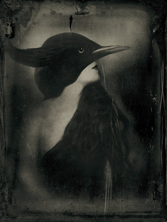 Aurelia. Bird woman original collage