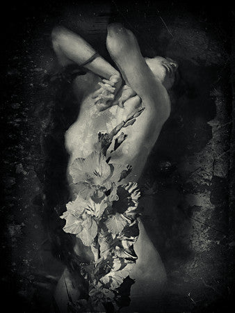 Ecstasy. Female nude collage