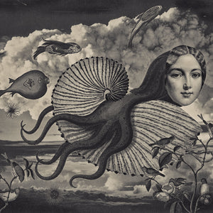 From the Cabinet of Dr. Calamari original collage. Surreal flying octopus woman. Fine art print.