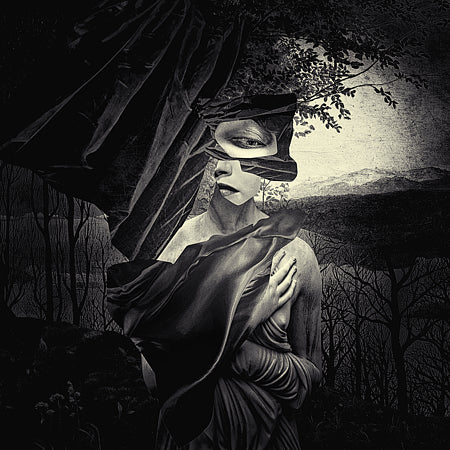 Recital. Original collage. Surreal dream. Forest performer