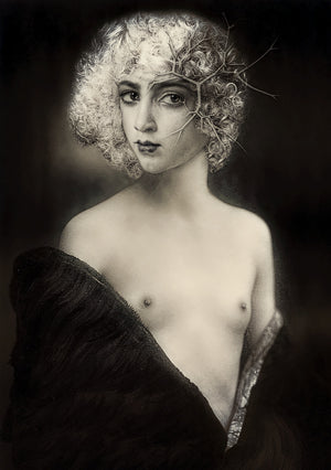 Chrysalis. Portrait of an androgynous beauty original collage. Fine art print