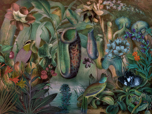 Garden of Venus. Fantastic nature collage. Fine art print