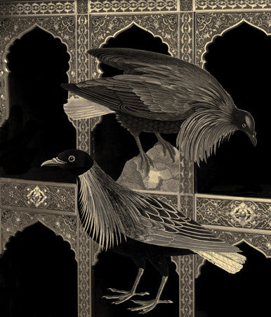 Gilded Age. Exotic birds collage