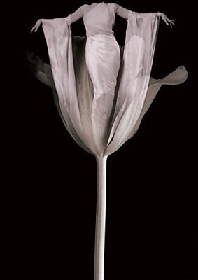 A Rare Flower. Original collage. Surreal flower woman