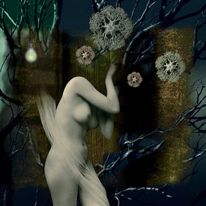 Sleep Spaces. Surreal Gothic ghost woman collage. Fine art print