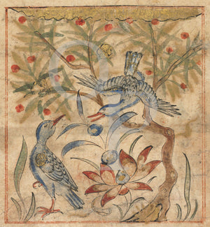 Persian painting of Ringdoves and Lotus Flower