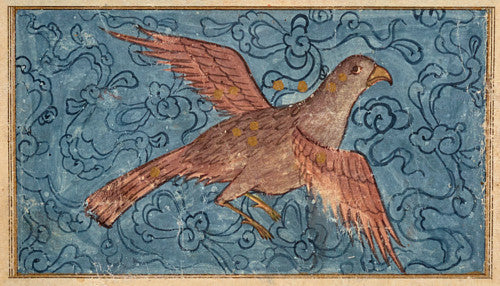 Ottoman Turkish Bird painting 