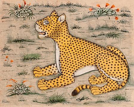 Leopard. Persian manuscript illustration. Fine art print