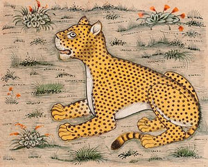 Leopard. Persian manuscript illustration. Fine art print