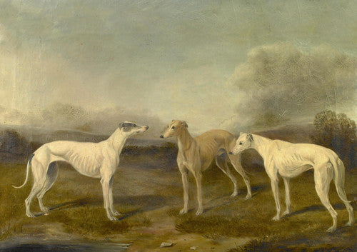 Greyhounds in a Landscape. Antique dog painting. Fine art print