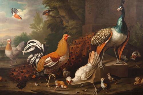 Peacock and Chickens. Antique Painting. Fine Art Print