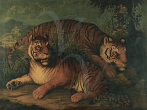 Bengal Tiger Painting. Fine art print