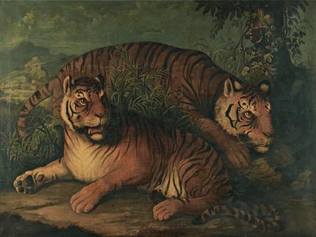 Bengal Tigers. Antique painting. Fine art print