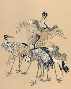 Five cranes Japanese birds. Fine art print