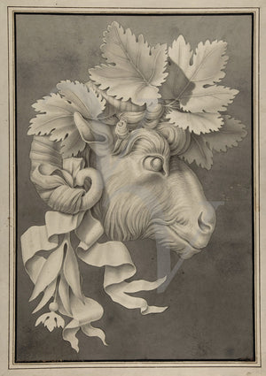 Decorative Goat's Head antique ink painting. Fine art print