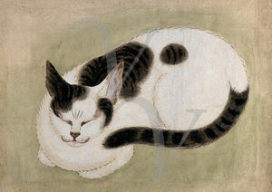 Sleeping Cat. Antique Japanese Cat Painting. Fine art print