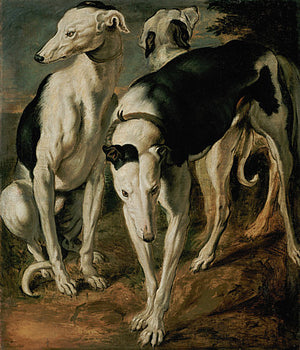 Antique greyhound painting. Fine art print