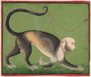 Man-monkey India painting. Fine art print 