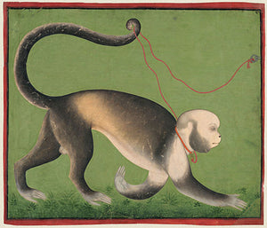 Indian man-monkey painting. Fine art print