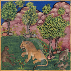 Persian Indian fables the monkey and the lion. Fine art print