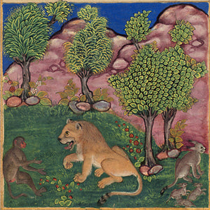 Persian Indian fables the monkey and the lion. Fine art print
